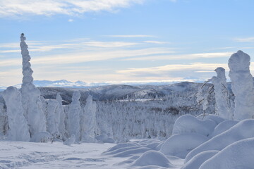 Northern Alaska in the winter