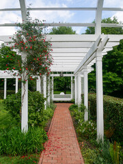Lattice walkway in Garden