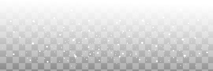 Vector snowfall isolated. Winter background. Snow overlay illustration. Snowflakes and ice.