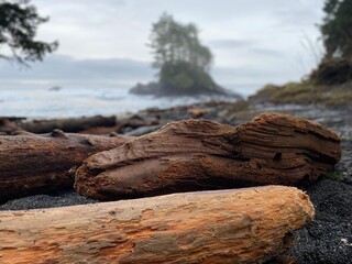 Driftwood in sight and small island in the distance. Port Renfrew, Vancouver Island.