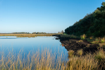 landscape with lake