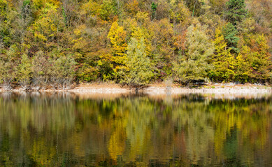 la calma del lago riflette i colori dell'autunno