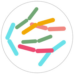 Petri dish with bacteria on white background