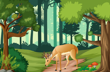 Wild animals in forest landscape background