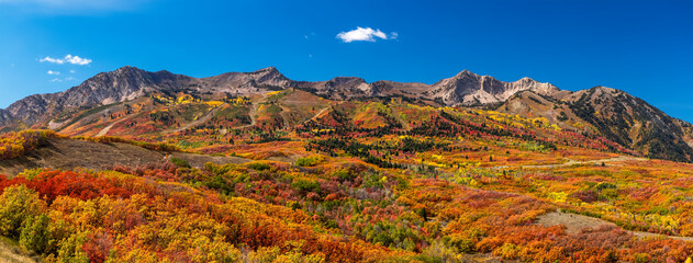 Panoramic view of Snow basin landscape with bright fall foliage around Mont Ogden peaks in Utah