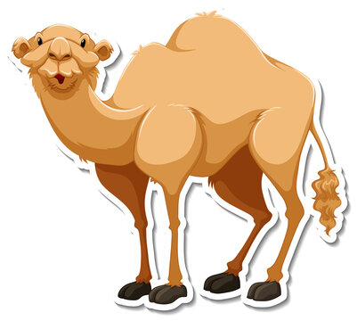 A sticker template of camel cartoon character