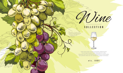 Wine banner or label with bunch of grape hand drawn vector illustration. - obrazy, fototapety, plakaty