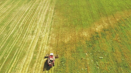 Aerial View Of Rural Landscape. Combine Harvester Truck Working In Field, Collects Seeds. Harvesting Of Wheat In Autumn. Agricultural Machine Collecting Golden Ripe. Bird's-eye Drone View