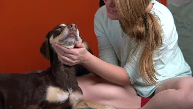 Cute brown dog relaxing on bed with girl. Woman caress her fluffy puppy pet. Domestic animal friendship.