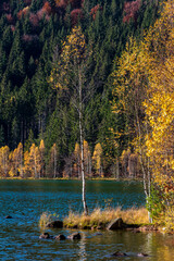 Idyllic autumn landscape with colorful green and yellow trees reflecting in the lake. Transylvania,...