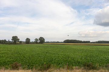 Antwerp, Belgium, a large green field with trees in the background