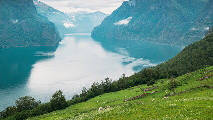 Fototapety na wymiar - Fototapeta24.pl