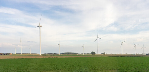 Antwerp, Belgium, a close up of a green field windmills