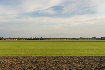 Antwerp, Belgium, a large green field with trees in the background