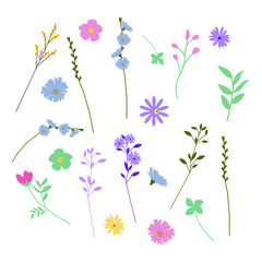 Botanical set of abstract flowers and herbs