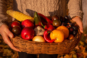 basket of vegetables