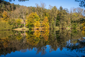 autumn trees reflected in water