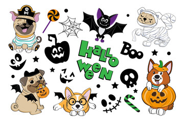 Halloween collection with bat, pumpink and dogs in Halloween costume. Vector cartoon illustration on white background isolated
