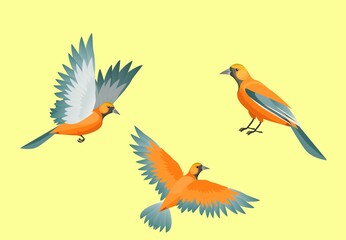 Set of birds in various poses vector isolated on white