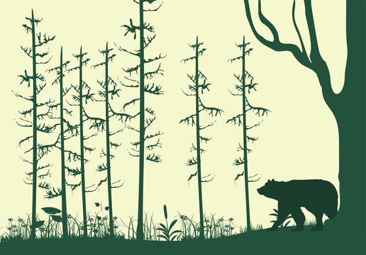 Foggy Forest, trees and animals silhouettes vector illustration
