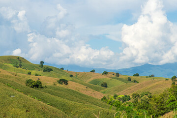 Fototapeta premium beautiful mountain view