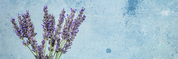 Lavender flower bouquet with a place for text, a bunch of lavandula plants, a panoramic banner