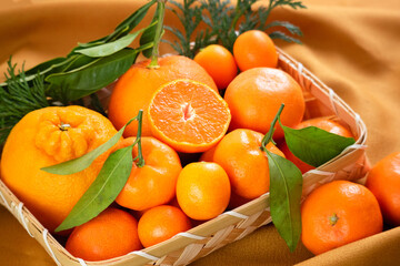 柑橘類(2)