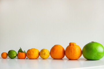 並んだ柑橘類