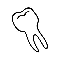 A human tooth with a root. A tooth pulled out. A primitive hand-drawn cartoon vector illustration in the style of a doodle. For coloring books, medical clinics, postcards and posters for Halloween.