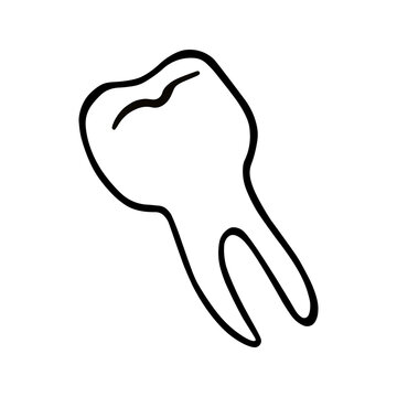 A human tooth with a root. A tooth pulled out. A primitive hand-drawn cartoon vector illustration in the style of a doodle. For coloring books, medical clinics, postcards and posters for Halloween.