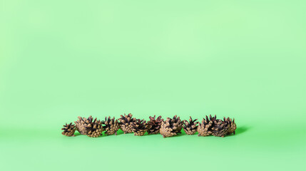 Natural brown pinecones in the line on the green background with the space for your design.Christmas or New Year decoration banner.