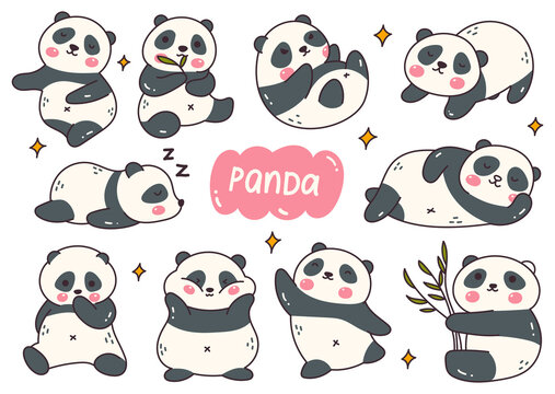 Cute kawaii panda illustration