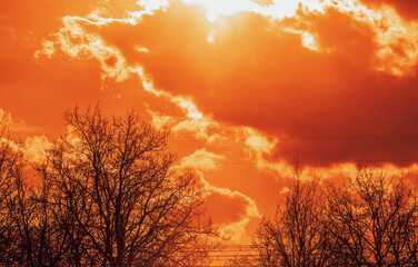 Landscape with silhouettes of oak trees, power lines. The evening sun disappeared into clouds....
