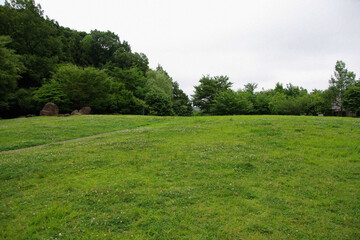 日本の公園芝生Japanese lawn park