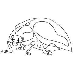 Maybug, colorado bug line art vector illustration. Continuous one line drawing of  maybug, colorado bug silhouette isolated on white background. Bug for background, logo or tattoo.