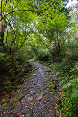 石畳の街道　箱根旧街道