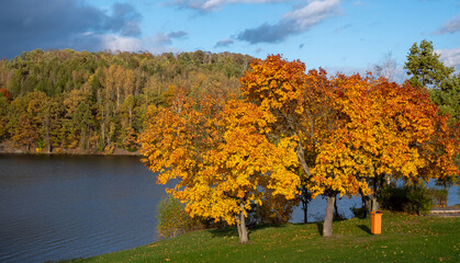 Obraz premium Panorama Landscape shot of a lake in autumn