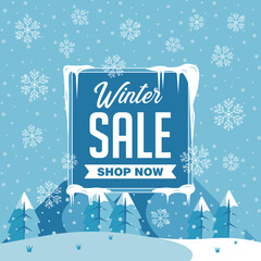 Winter Sale Shopping Discount Promotion 