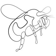 Line art drawing of cute fly, bee in vector illustration. Continuous one line drawing of  fly, bee silhouette isolated on white background. Fly, bee for background, logo or tattoo.