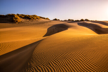 Fototapeta na wymiar Sand dunes from Sahara Desert