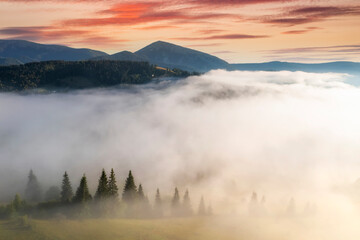 Aerial view of foggy sunrise in the mountains. Summer mountains.