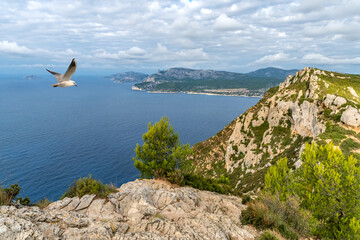Fototapeta na wymiar Panorama sur la mer, les calanques et les falaises depuis la route des crêtes entre La Ciotat et Cassis dans le Sud de la France