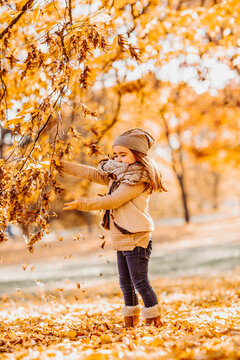 child playing with autumn leaves