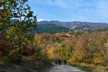 hiking in the mountains