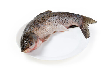 Raw peeled grass carp, prepared for cooking on white dish