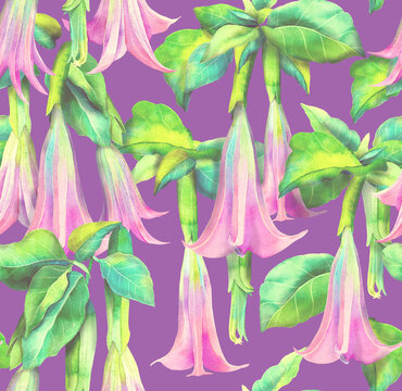 Datura Images Browse 106 910 Stock Photos Vectors And Video Adobe Stock