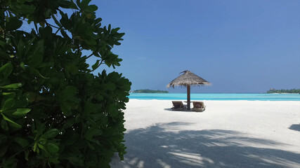 View of an umbrella with sun loungers from behind the bushes, Maldives, paradise beach