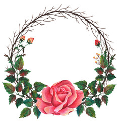 festive roses. Watercolor and colored pencil illustration