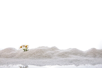 Winterlandschaft Kunstschnee
