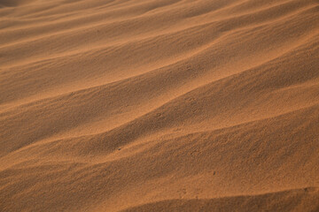 Fototapeta na wymiar Sahara desert sand texture